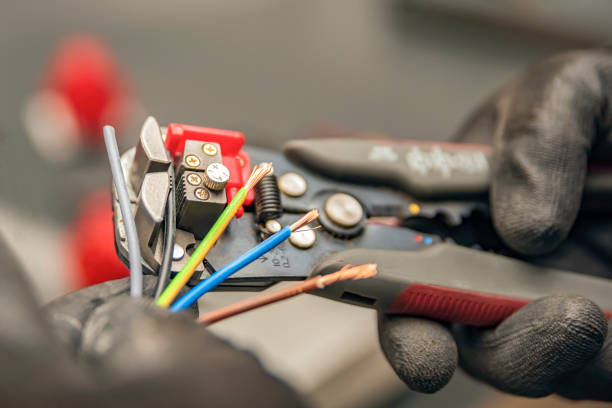 Best Local Electrician Companies  in Freeland, MI
