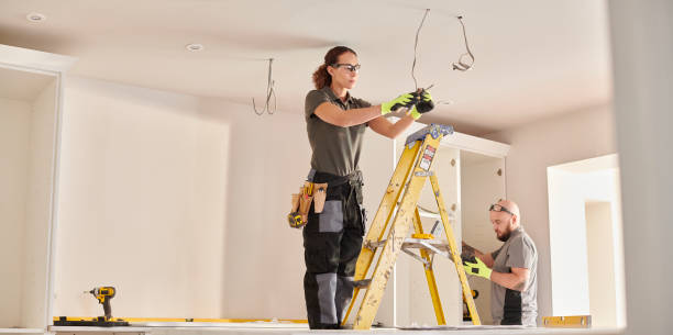 Best Electrical Repair Services  in Freeland, MI