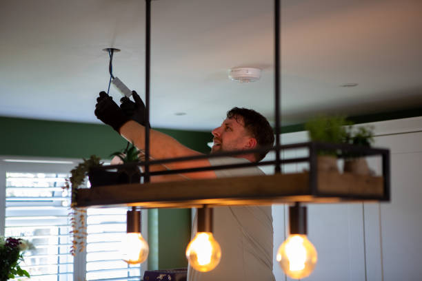 Best Electrical Upgrades for Homes  in Freeland, MI