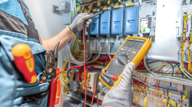 Best Home Electrical Repair  in Freeland, MI