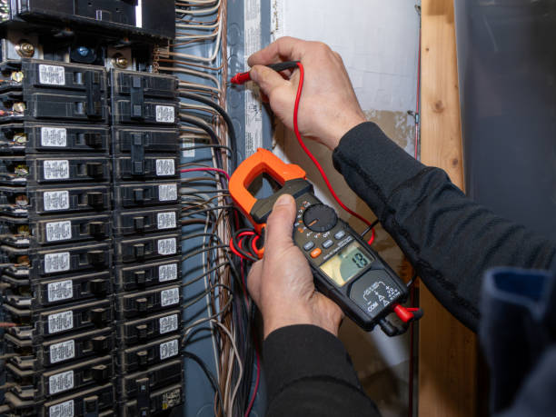 Best Residential Electrician Services  in Freeland, MI